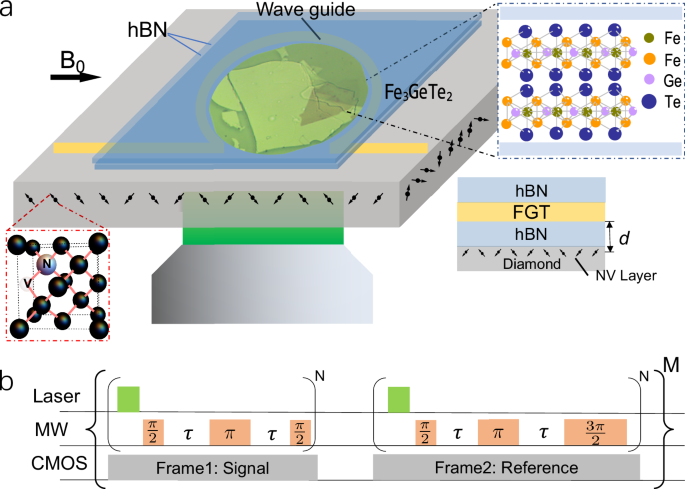 Fig. 1: Experiment setup and pulse sequences.