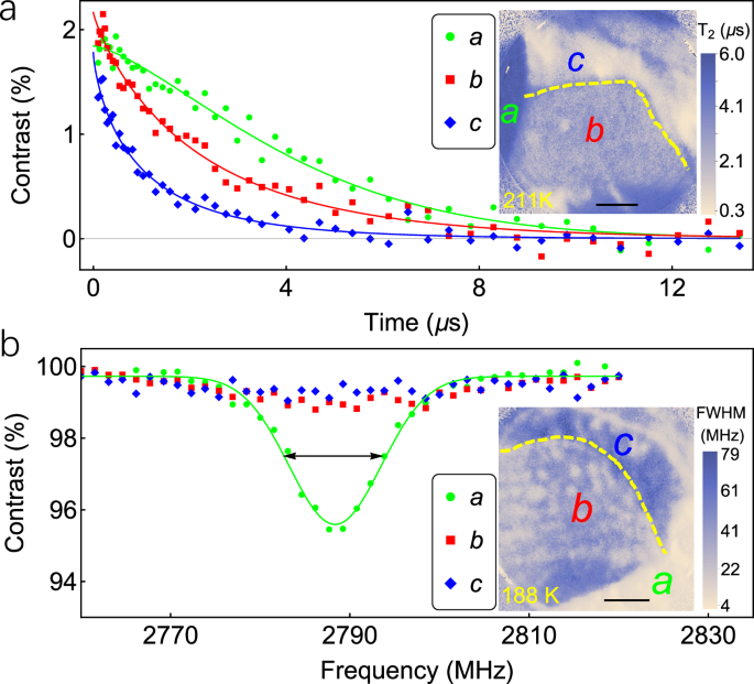 Fig. 2: Dynamic and static magnetometry in paramagnetic and ferromagnetic states.