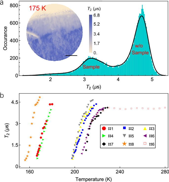 Fig. 3: Distribution of T2 and its temperature dependence.