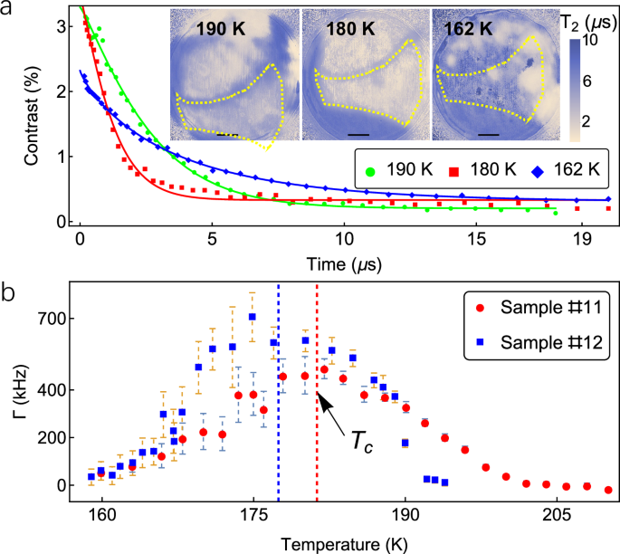 Fig. 4: Coherence of NV centers across the critical point.