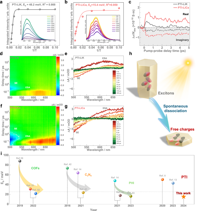Fig. 3: Evidence for the photo-induced free charges in PTI-LiCa.