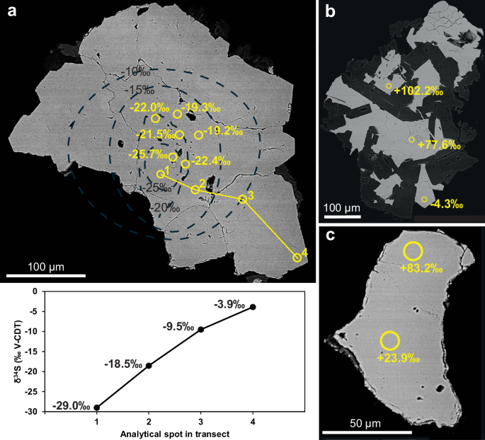Fig. 3: Stable isotope inventory of pyrite.