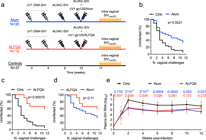 Fig. 1: Study design, vaccine efficacy, and viral load.