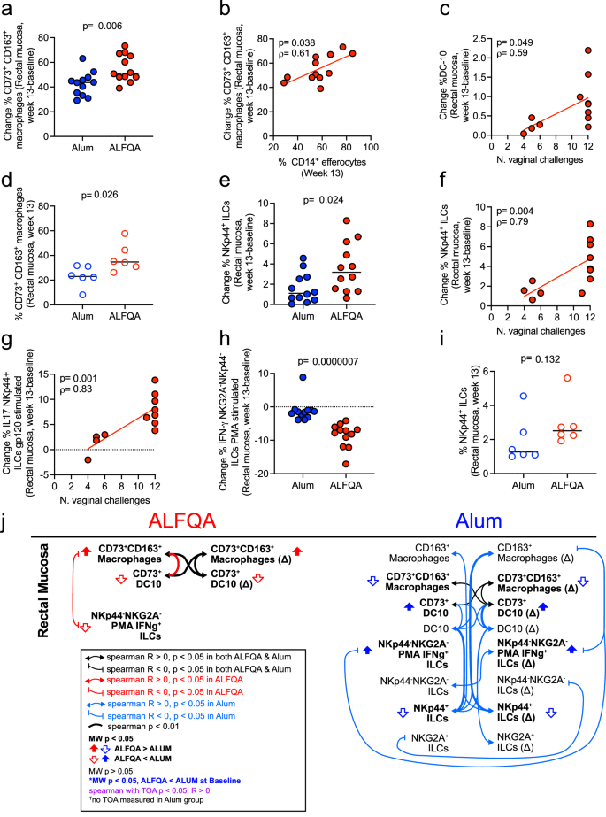 Fig. 3: Mucosal vaccine-induced immune responses.