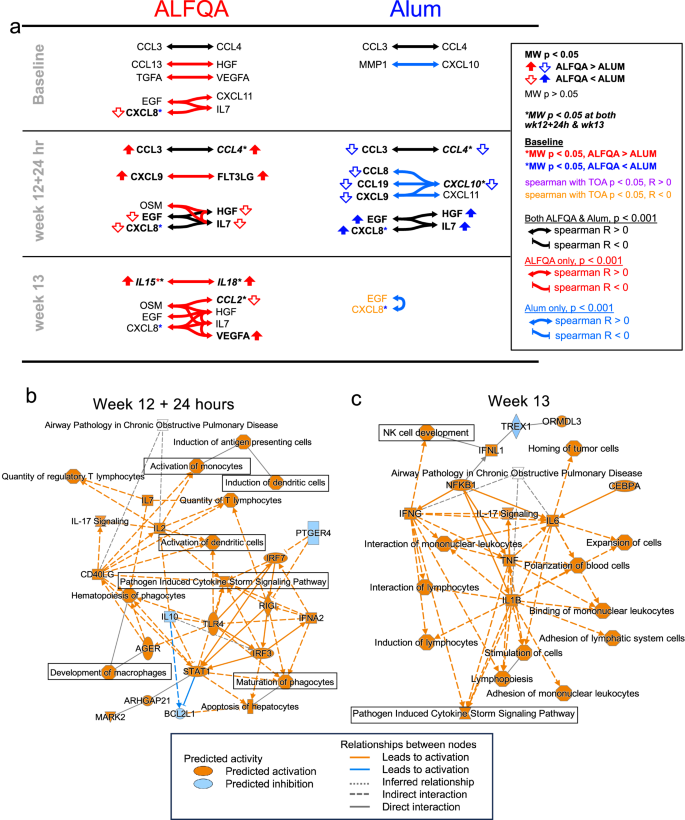 Fig. 5: Associations among biomarkers and ALFQA-induced proteome pathways.