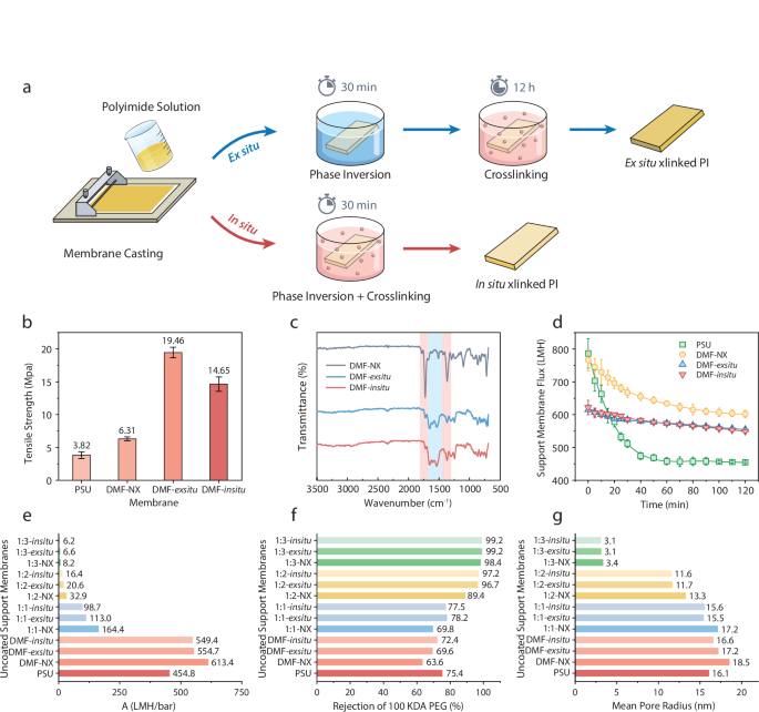 Fig. 1: Processes, properties, and performance of uncoated support membranes.