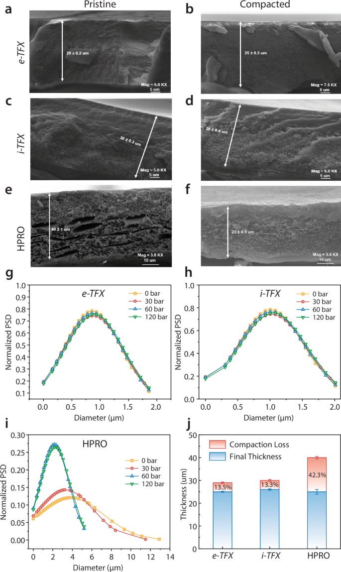 Fig. 4: Characterization and quantitative evaluation of composite membranes.