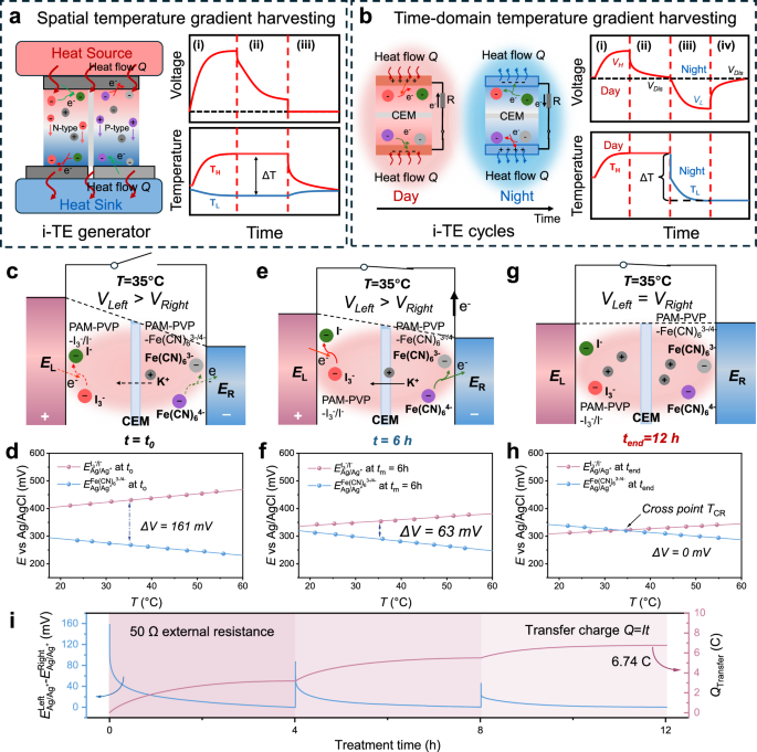 Fig. 1: Mechanism of TASR treatment.