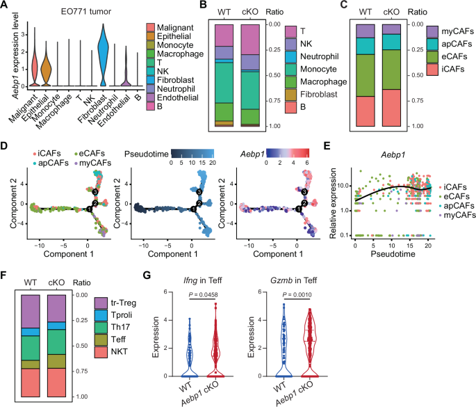 Fig. 3: scRNA-seq uncovers that CAF-derived Aebp1 reshapes the tumor immune microenvironment.