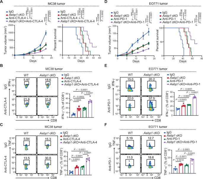 Fig. 6: Depletion of AEBP1 in CAFs improves the efficacy of ICT.