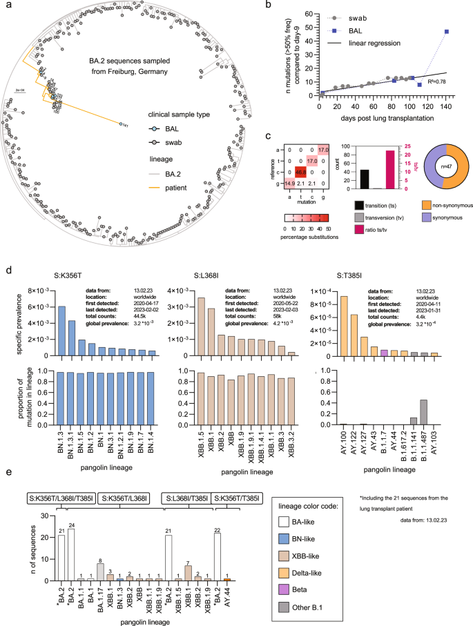 Fig. 2: Intra-host evolution of SARS-CoV-2.