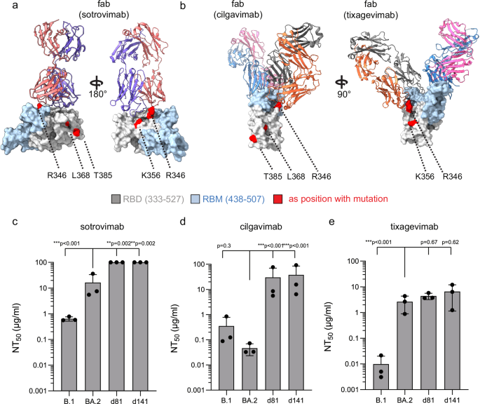 Fig. 3: Sensitivity of patient isolates to SARS-CoV-2 specific monoclonal antibodies.
