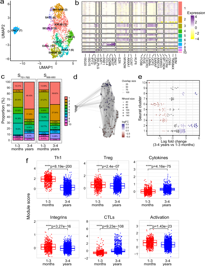 Fig. 5: scRNA-seq transcriptomic comparison of spike-specific CD4+ T cells at 1–3 months and 3–4 years.