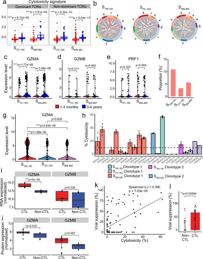 Fig. 6: Investigation of the CD4+ cytotoxicity signature in spike-specific cells at 3–4-year follow-up.