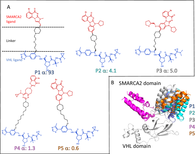 Fig. 2: Structural comparison of five ternary complexes.