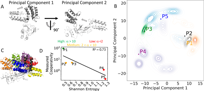 Fig. 3: Principal component analysis of ternary complex dynamics.