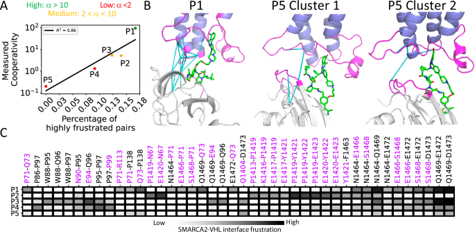 Fig. 6: Frustration in ternary complexes.