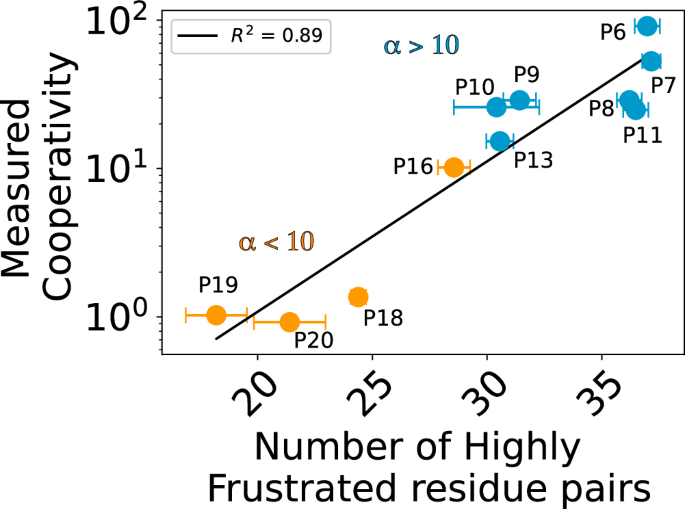 Fig. 7: Frustration at the protein–protein interface correlates with cooperativity across modeled PROTAC ternary complexes.