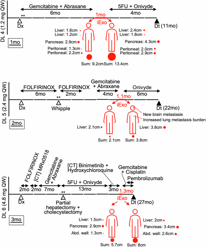 Fig. 3: GMP iExoKrasG12D in accelerated titration dosing design.