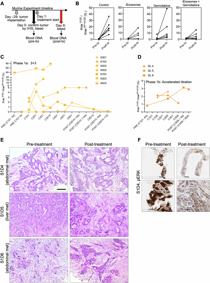 Fig. 4: cfDNA and biopsy analyses.