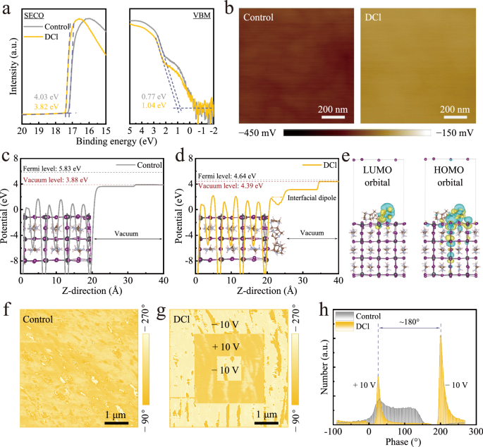 Fig. 3: Surface work function and ferroelectric effect of perovskite films.