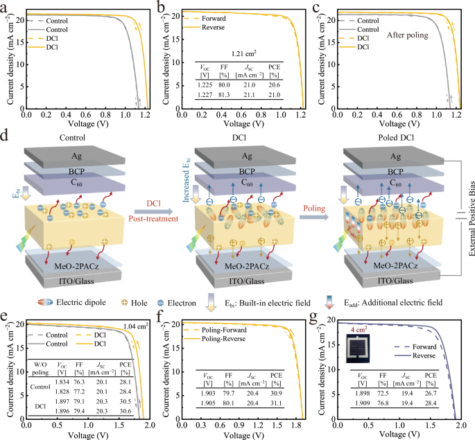 Fig. 4: Device performance and ferroelectric polarization mechanism.