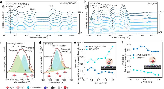 Fig. 3: In-situ infrared spectroscopy of interface species.