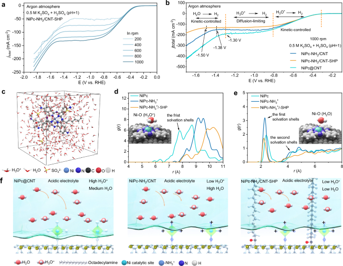 Fig. 4: Mechanism analysis of interfacial water influence.