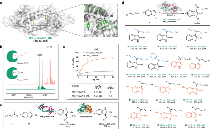Fig. 5: Characterization of evolved mutant SFC4.0 and substrate scope.