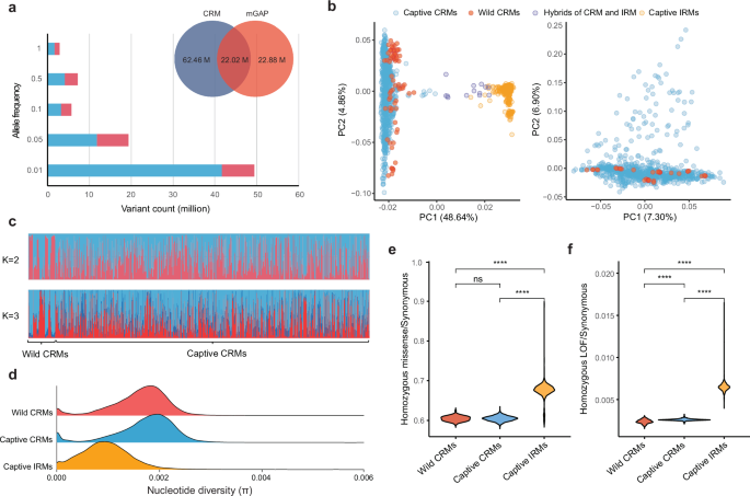 Fig. 1: Genetic ancestry and status of the CRM cohort.