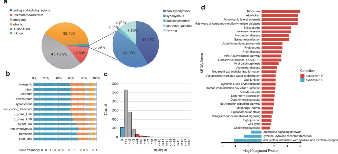 Fig. 2: Statistics of variant annotation and mutational profile.