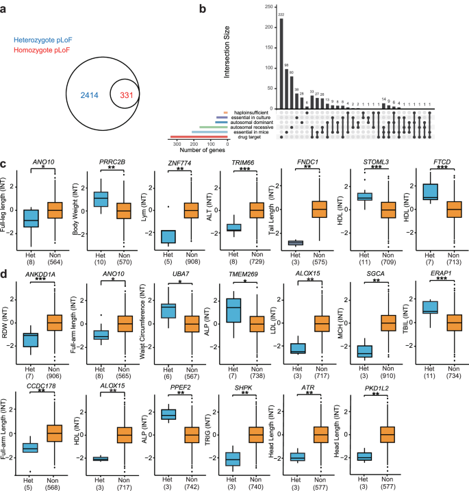 Fig. 3: pLoF genes and their association with phenotypes.