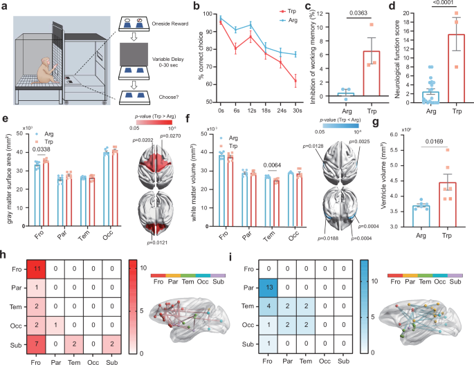 Fig. 5: Phenotypic consequences arising from a deleterious missense mutation in DISC1 (p.Arg517Trp).
