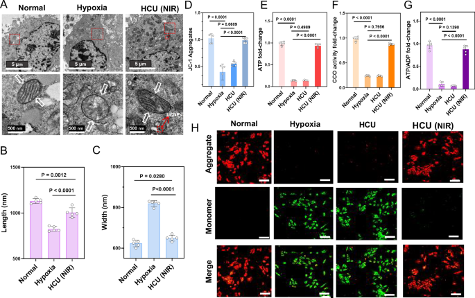Fig. 5: Mitochondrial function repair capacity of the hydrogel.