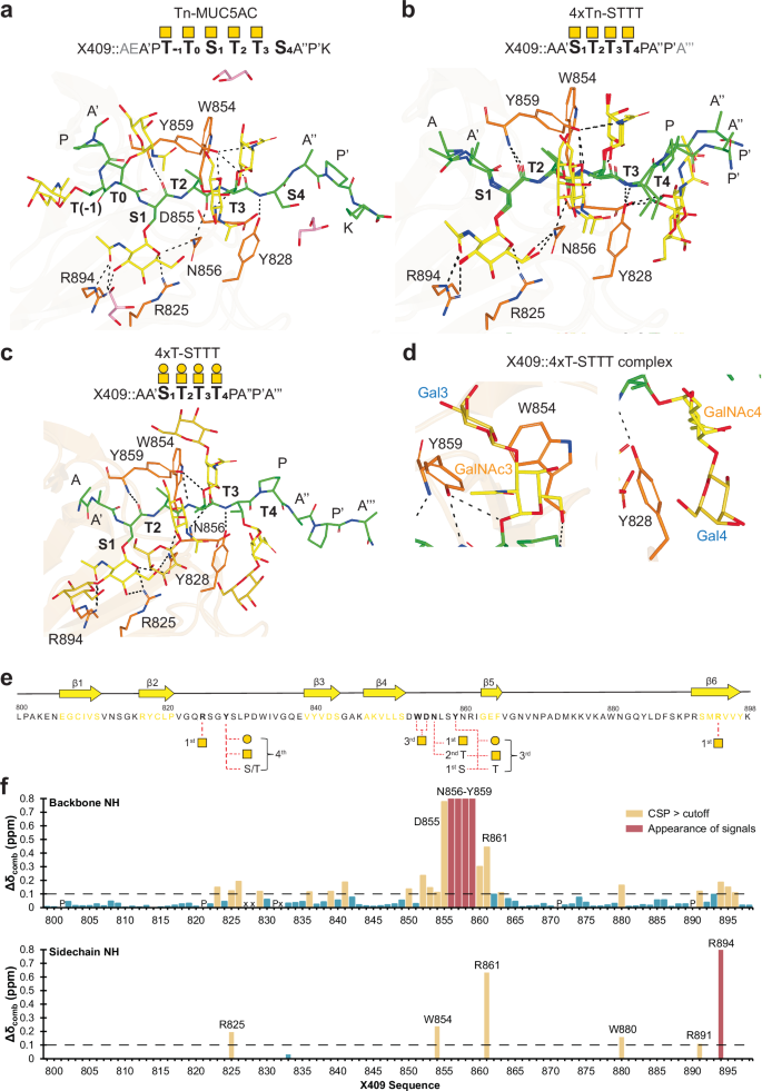 Microbial binding module employs sophisticated clustered saccharide ...