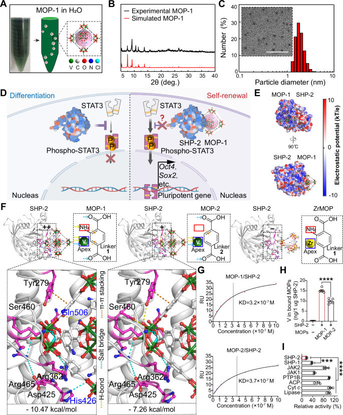 Fig. 1: The characterization and computational simulation of MOP-1.