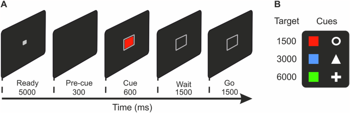 Fig. 1: Behavioral protocol.