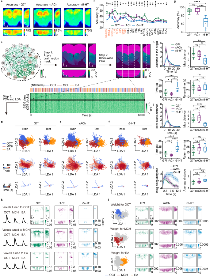 Fig. 3: Odor identity representation by G7f, rACh, and r5-HT across multiple brain regions.