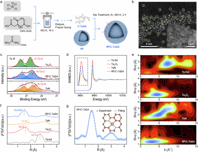 Fig. 1: Characterizations of RF/C-TaSA.