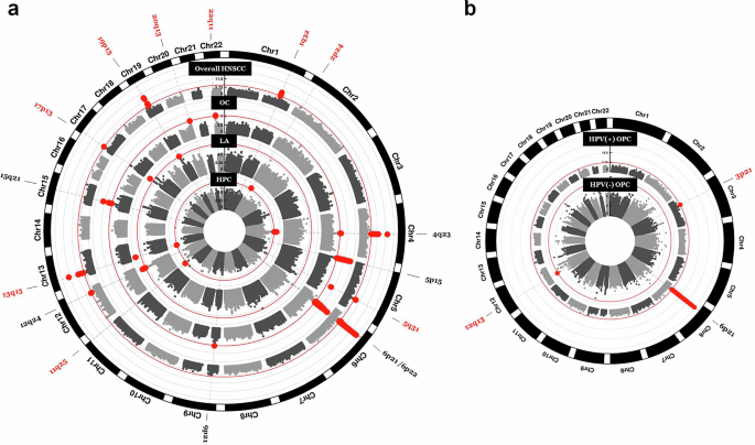Fig. 1: Novel risk loci identified for HNSCC.