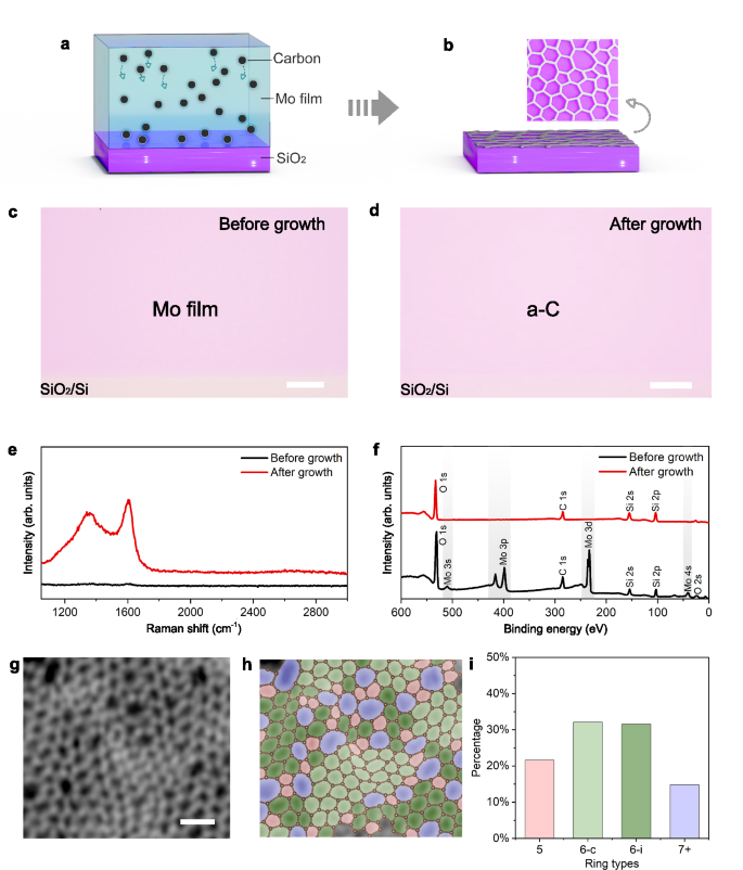 Fig. 1: Direct growth and atomic structure of monolayer amorphous carbon (a-C) on the SiO2/Si substrate.
