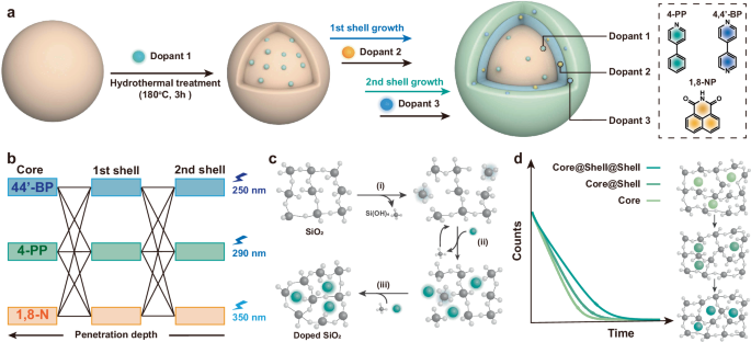Fig. 1: Programmable afterglow tuning in monodisperse SiO2 MPs through spatially confined emitter doping.