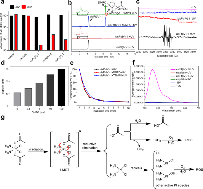 Fig. 2: Mechanistic studies on the photolysis process of Pt(IV) prodrugs.