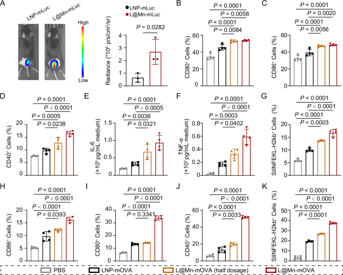Fig. 5: Immune effects of L@Mn-mRNA by promoting maturation and antigen presentation of dendritic cells in vitro and in vivo.