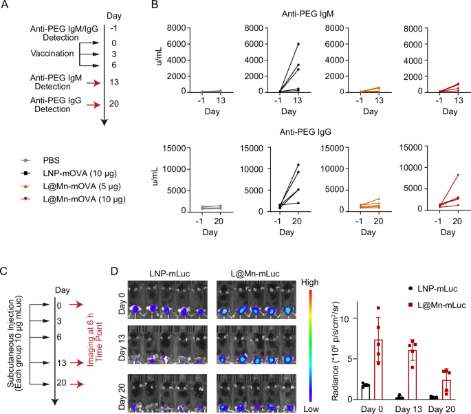 Fig. 7: Bioeffects of anti-PEG IgM/IgG in mice treated with each formulation.