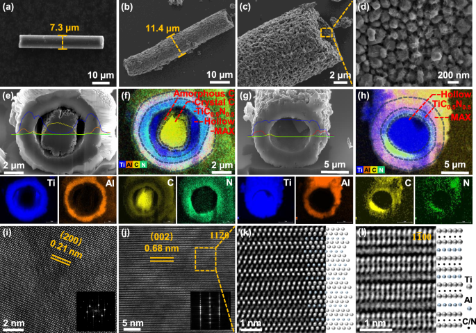 Fig. 2: Microstructure of CF and TACN samples.