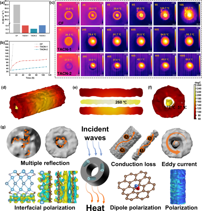 Fig. 5: Infrared heat shielding performance and schematic of EMW absorption of TACN samples.