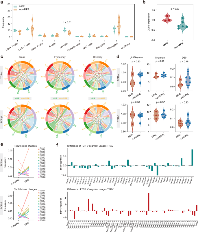 Fig. 3: Systemic immune landscape and TCR characteristic analyses.