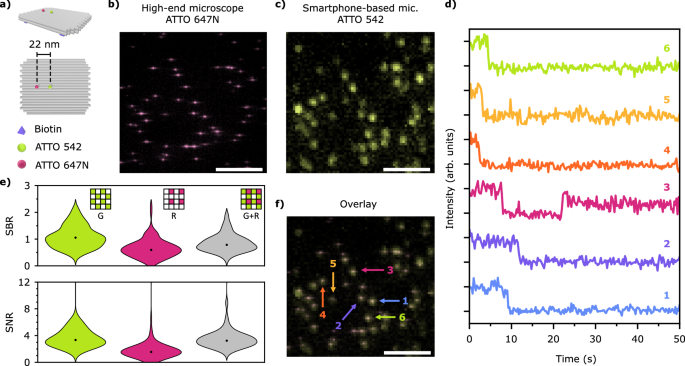 Fig. 2: Direct single-molecule detection with the smartphone-based microscope.