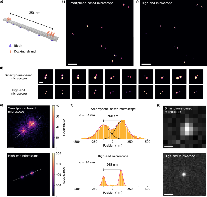 Fig. 3: DNA-PAINT with the smartphone-based microscope.